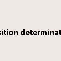 position determination是什么意思