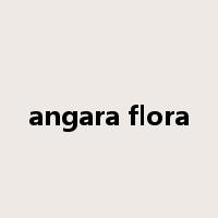 angara flora是什么意思