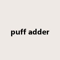 puff adder是什么意思