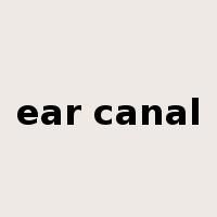 ear canal是什么意思