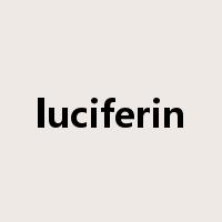 luciferin是什么意思