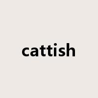 cattish是什么意思