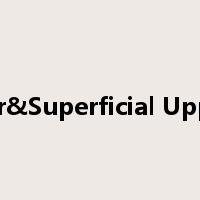 Shoulder&Superficial Upper Limb是什么意思