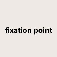 fixation point是什么意思