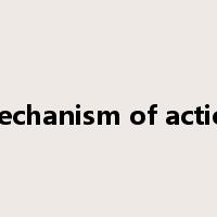 mechanism of action是什么意思