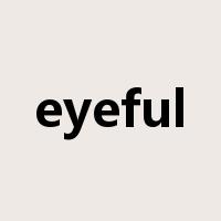 eyeful是什么意思