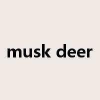 musk deer是什么意思