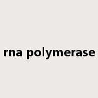 rna polymerase是什么意思