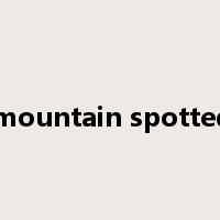 rocky mountain spotted fever是什么意思