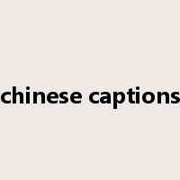 chinese captions是什么意思