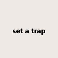 set a trap是什么意思
