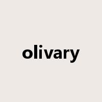 olivary是什么意思