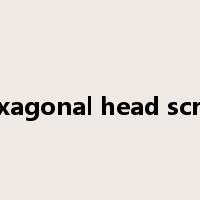 hexagonal head screw是什么意思