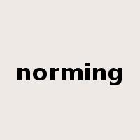 norming是什么意思