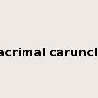 lacrimal caruncle是什么意思