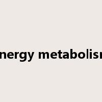 energy metabolism是什么意思