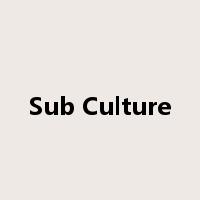 Sub Culture是什么意思