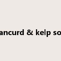 beancurd & kelp soup是什么意思