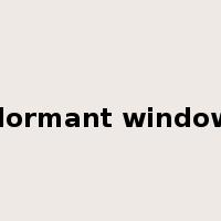 dormant window是什么意思