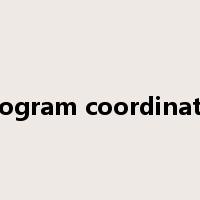 program coordinator是什么意思