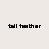 tail feather是什么意思