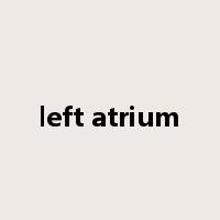 left atrium是什么意思