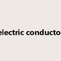 electric conductor是什么意思