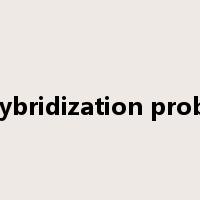 Hybridization probe是什么意思