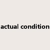 actual condition是什么意思