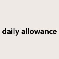 daily allowance是什么意思
