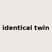 identical twin是什么意思
