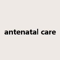 antenatal care是什么意思