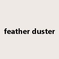 feather duster是什么意思
