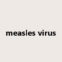 measles virus是什么意思