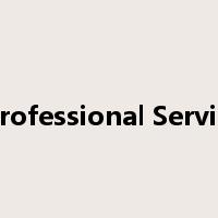 N&Y Professional Service Line是什么意思