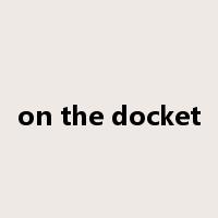 on the docket是什么意思