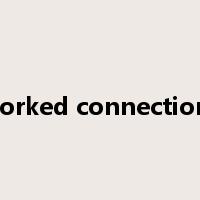 forked connection是什么意思