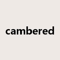 cambered是什么意思