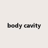 body cavity是什么意思