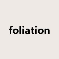 foliation是什么意思