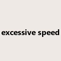 excessive speed是什么意思