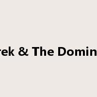 Derek & The Dominoes是什么意思
