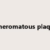 atheromatous plaque是什么意思