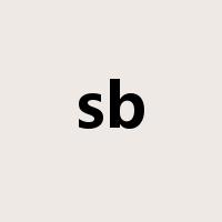 sb是什么意思