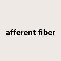 afferent fiber是什么意思