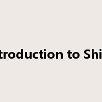 Introduction to Ships是什么意思