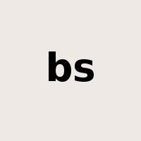 bs是什么意思