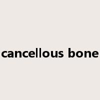 cancellous bone是什么意思