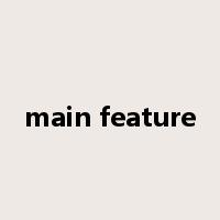 main feature是什么意思