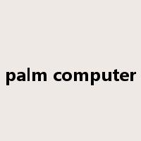 palm computer是什么意思